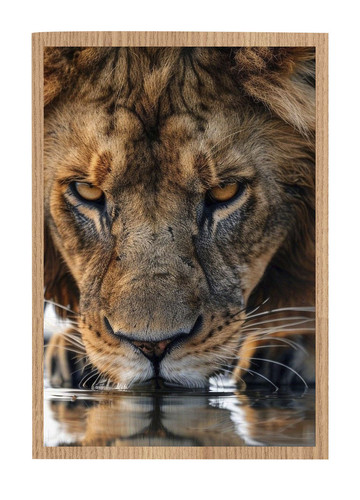 leao Quadro carvalho claro.jpg