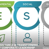 ESG consultancy, ESG consulting, ESG consultant