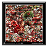 Ladybug Melody 1