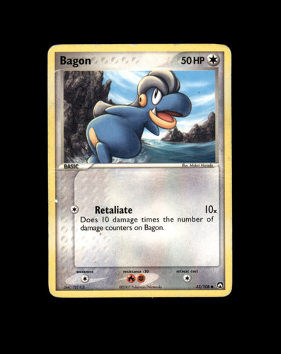 303.jpg