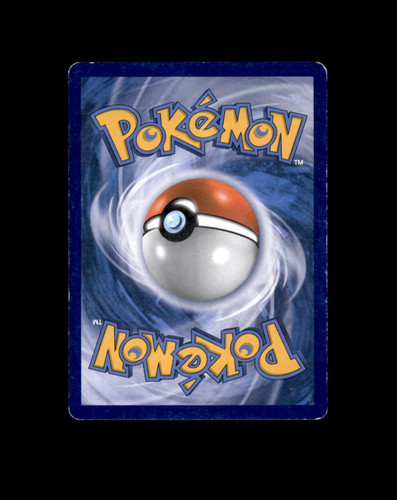 146.jpg