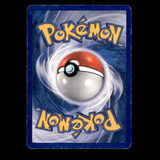 204