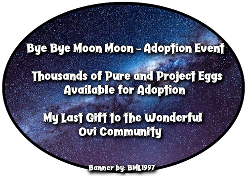 BYE BYE MOON MOON.png