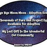 BYE BYE MOON MOON