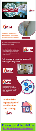 The Benefits of Professional Mold Inspection Restoration Services.png