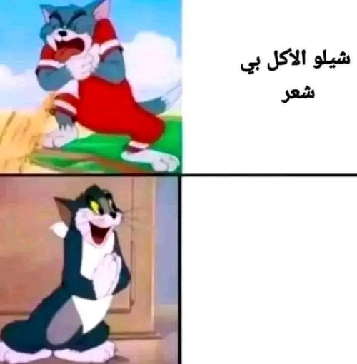 F5FPlvp.md.jpg