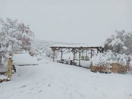 images.jfif Nevó en San Juan: postales del domingo polar y recomendaciones para transitar