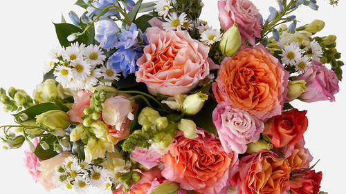 Moss-Fix Singapore.jpg