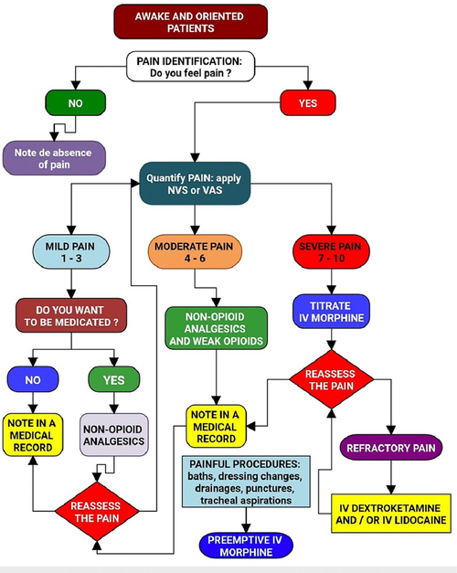 Protokol analgesia multimodal pada pasien sadar oleh de Souza et al.