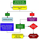 Protokol analgesia multimodal pada pasien nyeri akut yang terintubasi oleh de Souza et al.