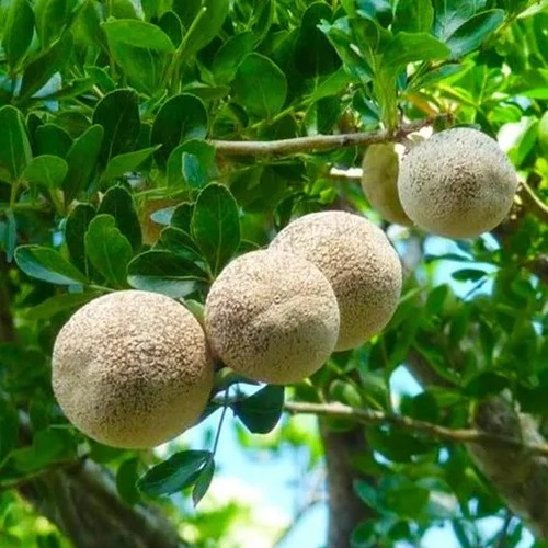 maxresdefault 13 1024x1024 2x 7f.jpg