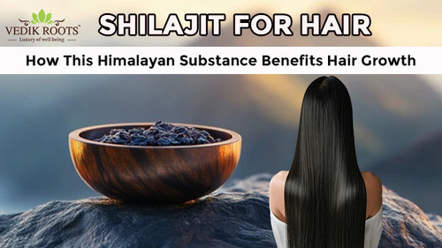 shilajit for hair.jpg
