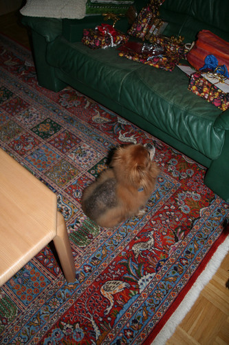 IMG 0238.jpg