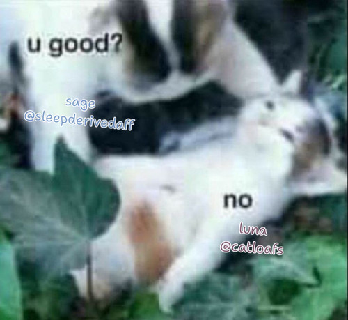 1000017207.jpg