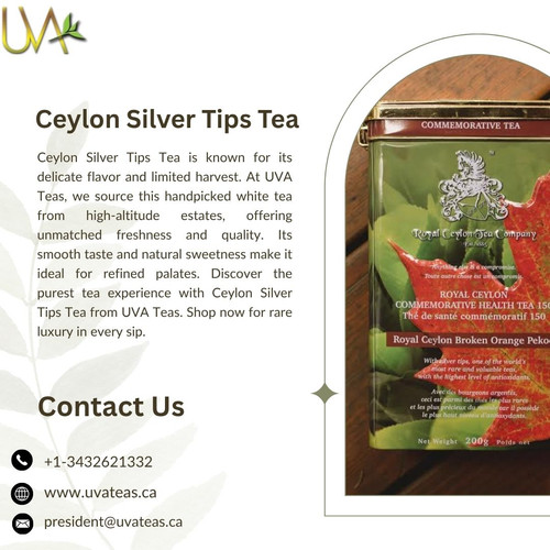 What Makes Ceylon Silver Tips Tea So Rare and Special.jpg