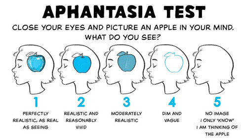 aphantasia2504.jpg