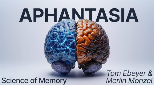 aphantasia2503.jpg