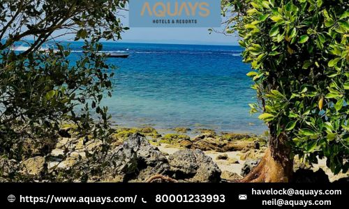 Discover Your Ideal Stay at the Best Luxury Resorts in Havelock.jpg