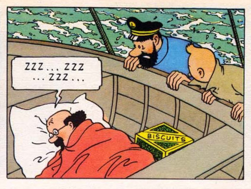 Tintin IMG 4098.jpg