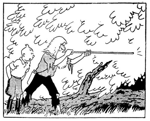 Tintin IMG 4097.jpg