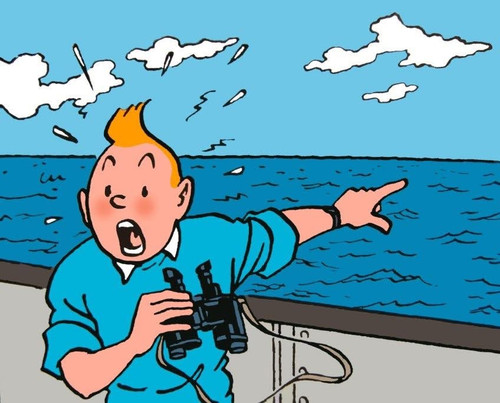 Tintin IMG 4121.jpg