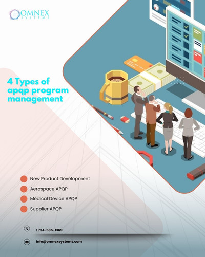 4 Types of apqp program management.jpg