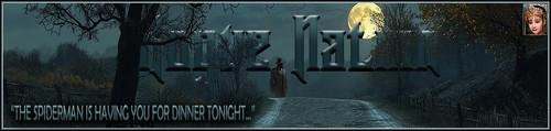 MonLight Banner.jpg