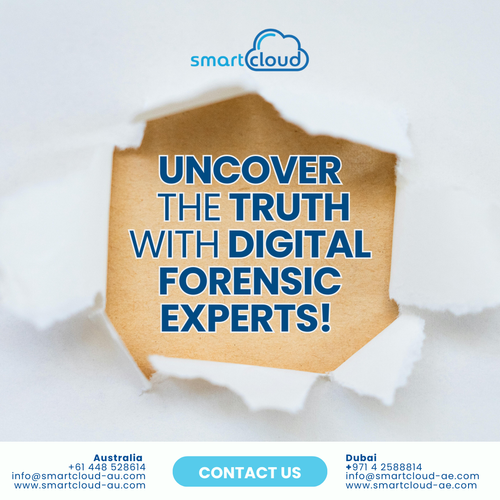 Digital Forensics Experts Brisbane, Digital Investigation Services.png