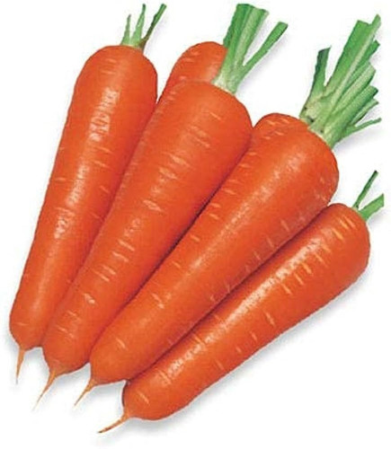 110 1carrot seeds hybridw wequal.jpg