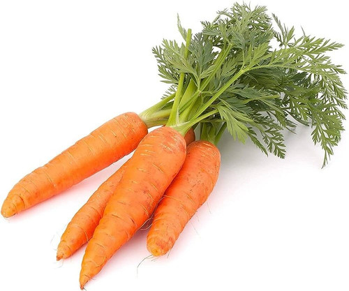131 1carrot seeds for gardening.jpg