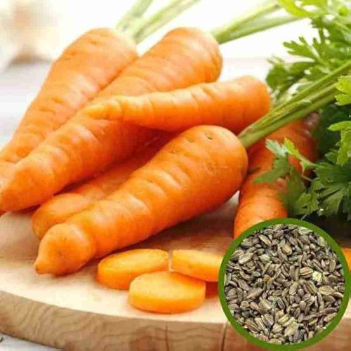64 f72carrot seeds for home gard.jpg