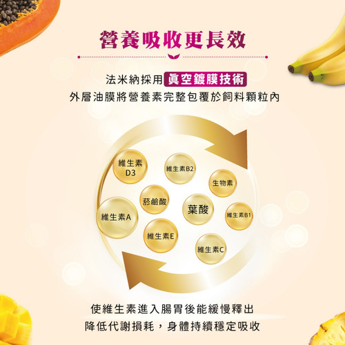 image WH 1200x1200px (49).jpg