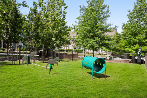 C244150 RetreatAtLenoxVillage DogPark 1.jpg