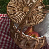 eli picnic 2