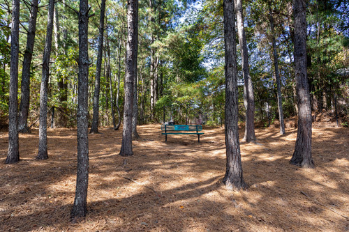 C234080 RetreatAtSweetwater DogPark 02 1.jpg