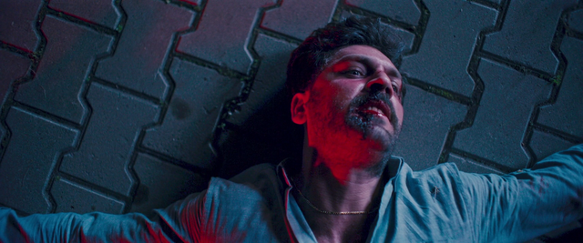 Vlcsnap-2025-08-05-01h51m44s552