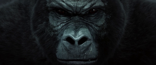 vlcsnap 2025 08 05 00h27m30s579.png