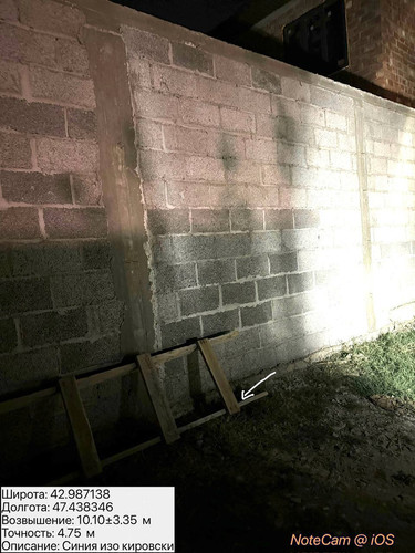 photo 7 2025 08 05 06 28 42.jpg