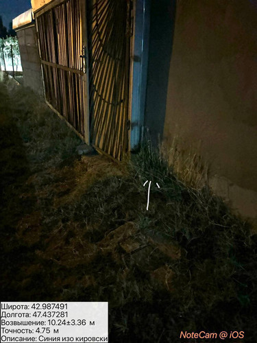 photo 9 2025 08 05 06 28 42.jpg