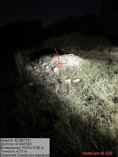 photo 4 2025 08 05 06 28 42.jpg