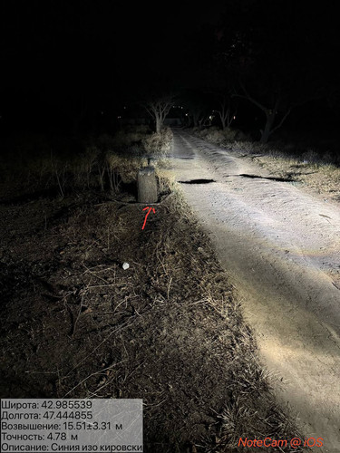 photo 2 2025 08 05 06 28 42.jpg