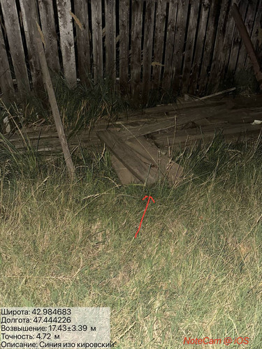 photo 1 2025 08 05 06 28 42.jpg