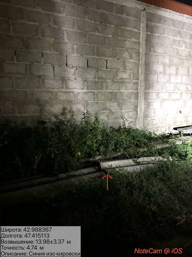 photo 7 2025 08 05 06 39 31.jpg