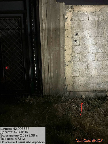 photo 4 2025 08 05 06 39 31.jpg