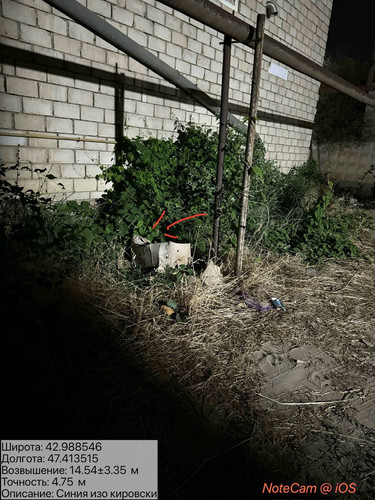 photo 5 2025 08 05 06 39 31.jpg