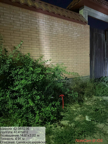 photo 6 2025 08 05 06 39 31.jpg