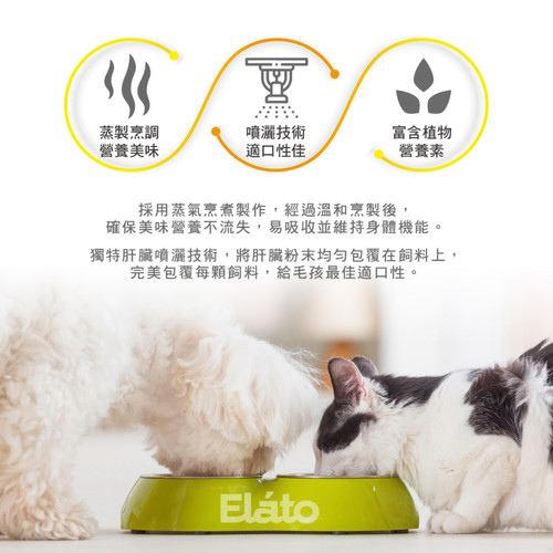 image WH 1200x1200px 2025 08 05T114438.185.jpg