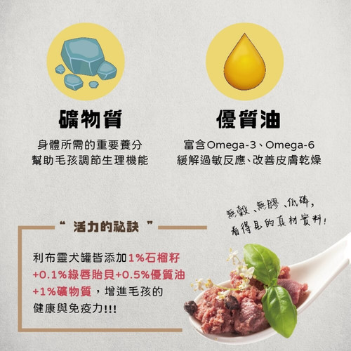 image WH 1200x1200px 2025 08 05T115219.641.jpg