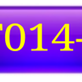 1000432065