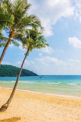 Capture d’écran 2025 08 04 à 22.47.08.png